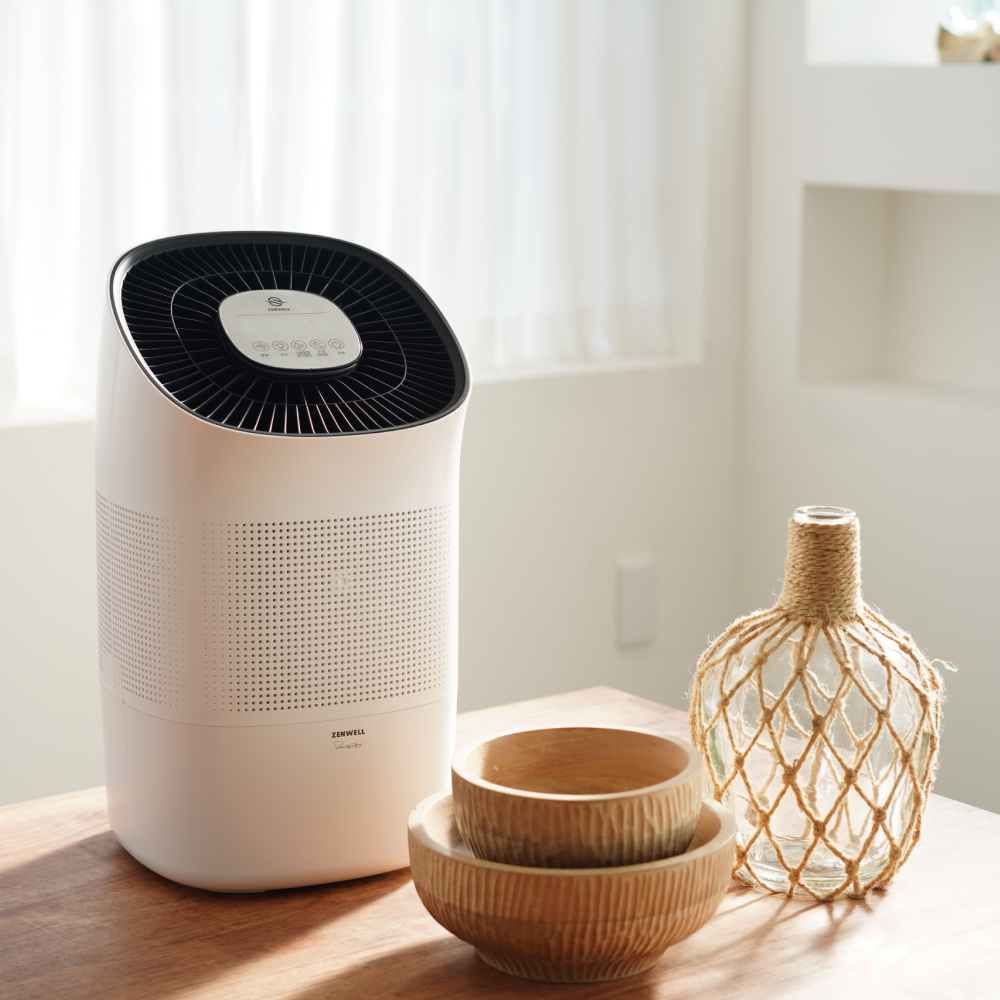 Air Purifier Humidifier